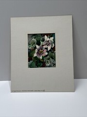 FREDERIC WHITAKER PAINTING AMERICAN FLORAL IMPRESSIONISM LISTED FAMOUS SMALL