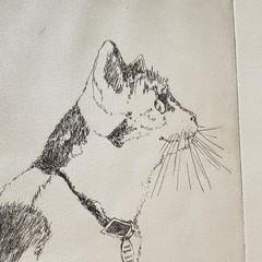 Original Woodblock Cat Etching By Fran Ritchie Yost