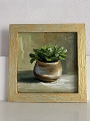 original oil painting still life 20х20cm Semi-abstract small money tree, plant