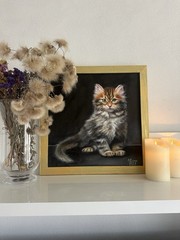 original oil painting, Wall Art, Cat, 35х35cm, Gift, Kitty, pet portrait,