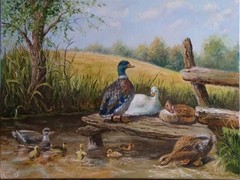 Painting „Ducks“. Oil. Canvas on stretcher. 12×16 inc. Handmade. 2025. Unframed