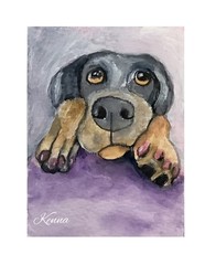 Aceo Original Painting By Kenna HP Dog Portrait 2.5” X 3.5”