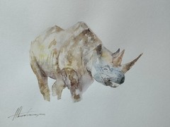 Rhinoceros, Animal, Watercolor artwork, Handmade, Original painting on paper