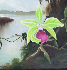 Vintage Signed Dowling Painting Orchid Tropical Orchid Bird after Martin Heade