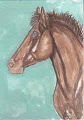ACEO original Watercolor Art Card HORSE classic champagne Friesian Sport Colt
