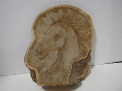 Vintage Art Adirondack Fungus Fungi Horse Elaine Chang