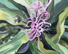 Florida Flora Oil Painting Spider Lily Collect Original Fine Art Signed Dated