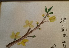 Original Oriental Watercolor Birds On A Branch. Signed. 10 X 13”