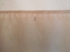 Original BERNHARDT WALL Signed Watercolor Painting 1930, Mount Vernon 20 x 18.5