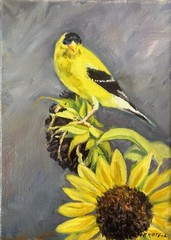 Original Oil Painting On Stretched Canvas American Goldfinch on Sunflower