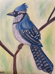Original oil painting 11 x 14 inches gorgeous colorful blue jay bird