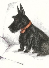 SCOTTISH TERRIER RYTA PRINT OF PAINTING DOG ART SCOTTIE 5×7 SKETCH PORTRAIT FOLK