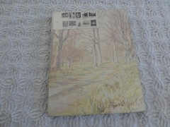 NIB PAINT YOUR OWN MASTERPIECE Ghost Images SPRING PATHWAY PANEL Kit – 14″ x 18″