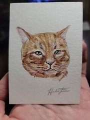 ACEO Original Watercolor Painting 2.5″ x 3.5″ Orange Tabby Kitty Pet Portrait
