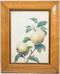 Stunning Antique French Botanical Painting of Fruiting Apple Tree Janis Aldridge