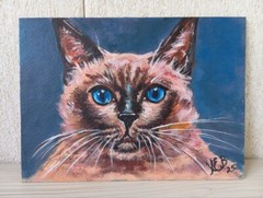 Siamese Cat Original Acrylic Painting Kitty Portrait Pet 6×8 Inch