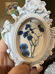 Dried Flowers ,real,cute,original,miniature small,mini,framed
