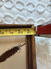 Vintage Reverse Glass Painting Wood Ducks And Cattails 22 1/2 X 17 1/2 Framed