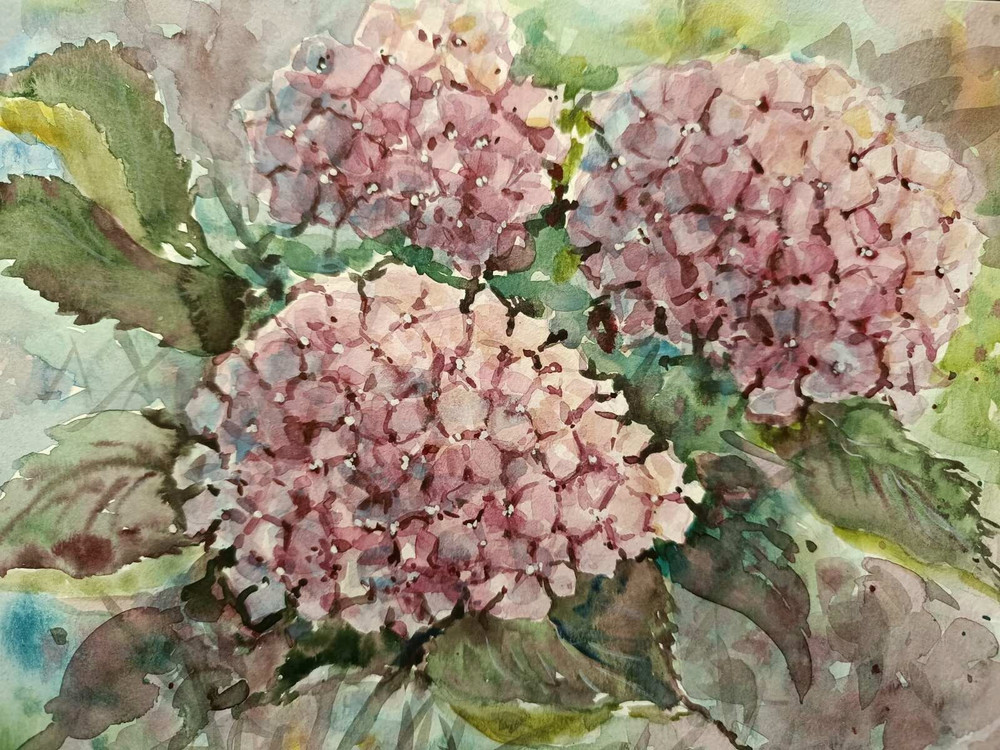 Original Artwork Painting Flowers TENDER HYDRANGEA BLOSSOM Floral Arts Gift A4