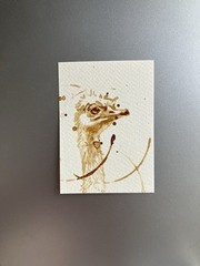 ORIGINAL Coffee Ostrich Painting Bird Lover Art Aceo Gift ATC Artwork Artettina