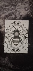 ACEO Original Art – Bee on Plate Done In Pen & Ink