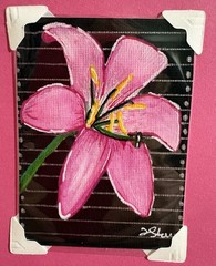 Original ACEO Pink lily Painted On A Black Stripe Background Signed