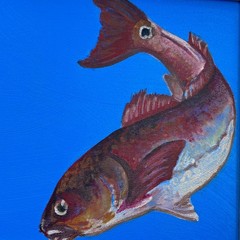 Original Contemporary Fish Still Life Oil Painting on Canvas, Signed