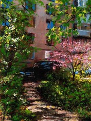 Original Oil Painting Arseni – SPRING FLOWERING 12″x8″ Impressionist Garden Art