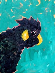 DANVERRS Black Cockatoo Aqua Yellow Tail Original 12×9” Canvas Painting Tasmania