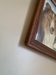 Vintage Hand Painted Paint by Numbers „Collie“ Dog Portrait Framed Decor LASSIE