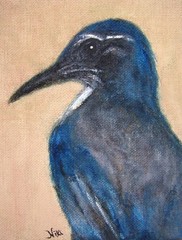 Unique Original Collectible Blue Jay Acrylic on Burlap Canvas Wildlife Painting