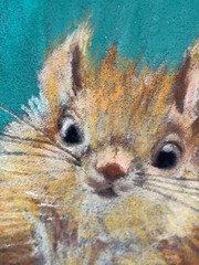 ACEO Original Soft Pastel Surprised Cute Squirrel ATC – OOAK