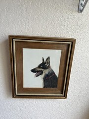 Edith J Ciach 1979 German Shepherd Pen Ink Watercolor Apache Dog Portrait