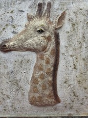 Giraffe Safari Wall Art Motif In Decorative Textured Resin Frame 12×12