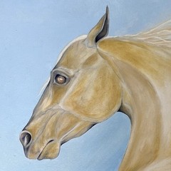 Horse Painting Equine Southwestern Oil on Canvas Signed