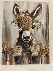 9 x 12 Framed Acrylic and Pen Painting on Canvas Board……“Spring Burro“