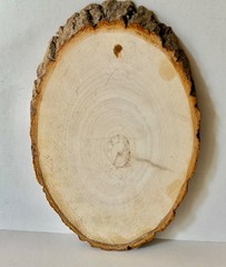 Woodcut Painting Sand Wall Art Plaque 12 Inches with White Birch Trees Lot 2