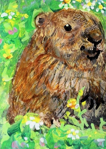 ORIGINAL ACEO Painting GROUNDHOG SPRING Marmot Animal Flower Nature ATC ART