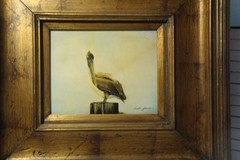 Original framed painting on board Scott gleason American ornithology Pelican