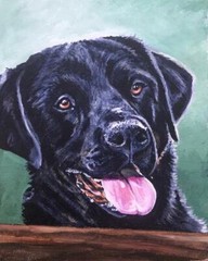 Custom Pet Portrait By Bev Davis – Washington. Acrylic, 8″ x 10″ Canvas