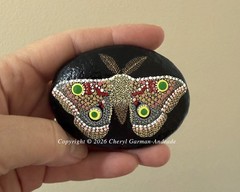 Original Pointillism Dot Painted Stone Whimsical Silk Moth by Cheryl Andrade