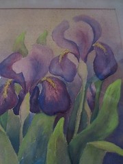 Vtg Signed Anaptapia Watercolor purple Iris Flowers Framed 24.75″ x 25.75″