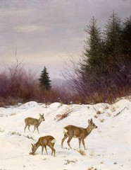 Oil painting wild animals little deer Fawn in winter snow landscape Hand painted
