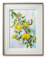 Lemon Tree Branch Original Watercolor Painting Blossom Spring Flowers Wall Art
