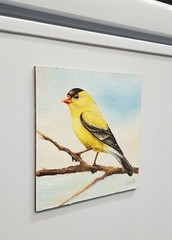Goldfinch. Original oil painting Backyard bird art. 6×6. Magnetic canvas board.