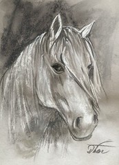 Landscape Impressionism Pastel Painting Drawing Dorothy Laz Mt Horse