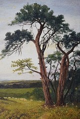 ACROSS HEATHLAND TO HILLS BEYOND ANTIQUE OIL PAINTING BRITISH SCHOOL c1880/1900