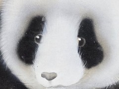 Karl J. Feng „Pandas“ bear original watercolor painting signed w card 25″ x 17″