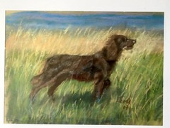 ::PASTEL DOG SETTER ON THE COAST FIELD HUNTING DOG SIGNED DATED 07 FRAME