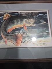 Framed Signed Print Peacock Bass Dan Perotti Wildlife Art Painting